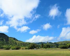 사진7