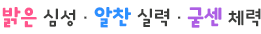 밝은 심성 알찬 실력 굳센 체력